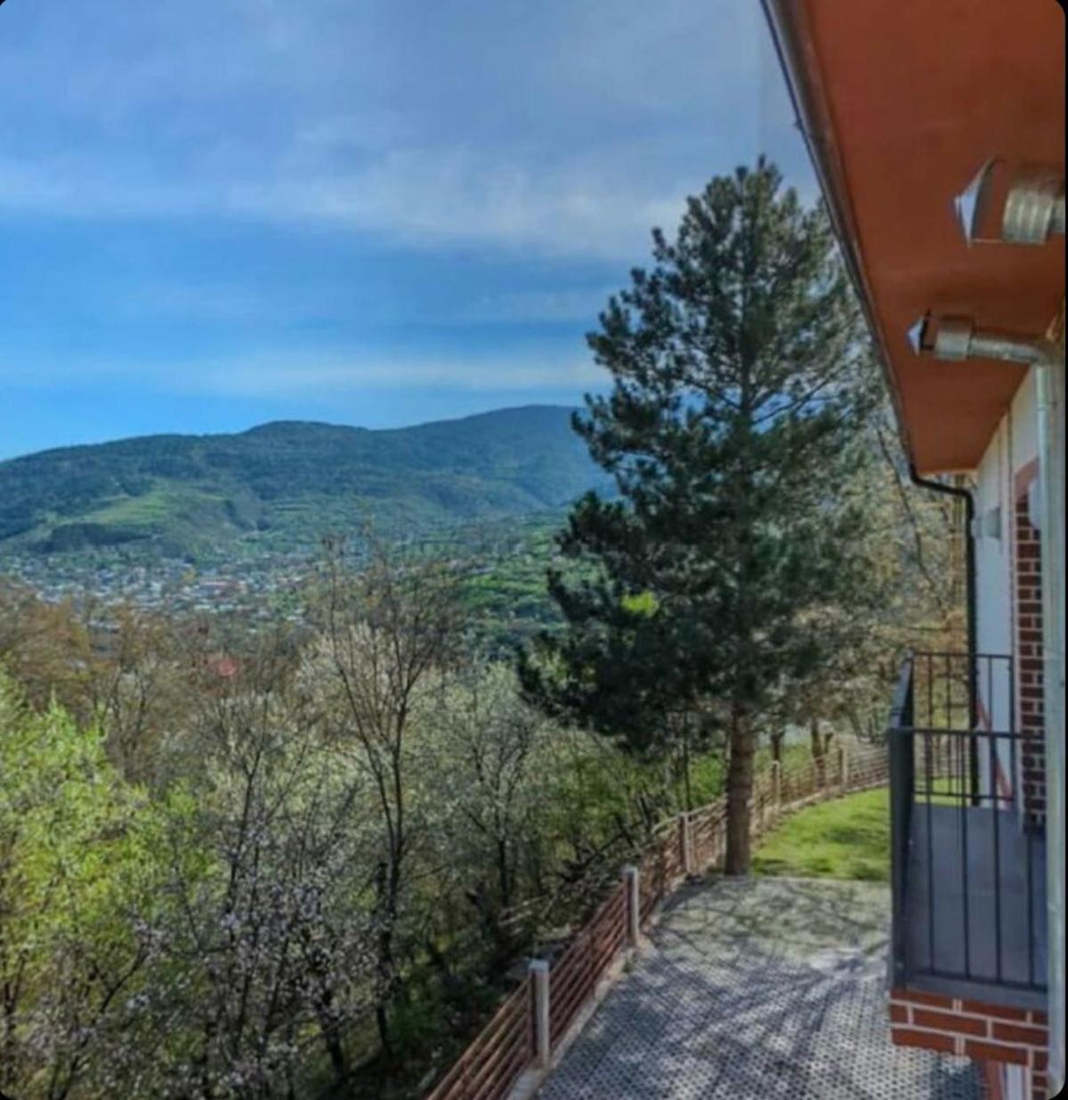 Holiday Borjomi Qvibisi Exterior foto